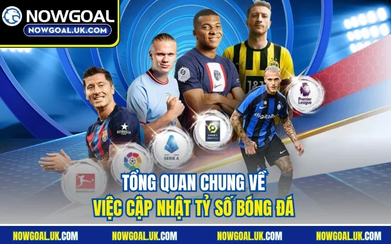 Tổng quan chung về việc cập nhật tỷ số bóng đá